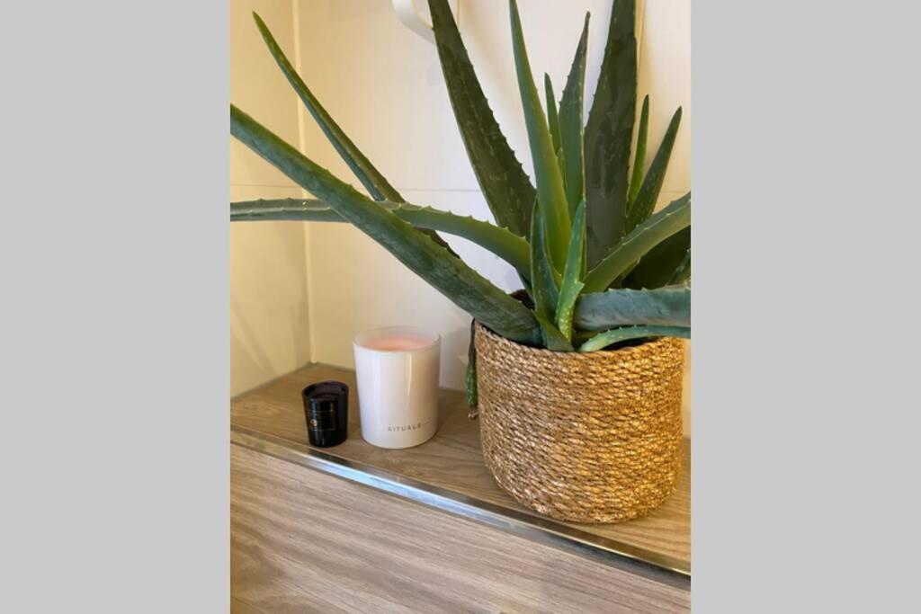 Warm Welkom! Zeer Ruime Prive Studio Met Tuin Harlingen Exterior foto
